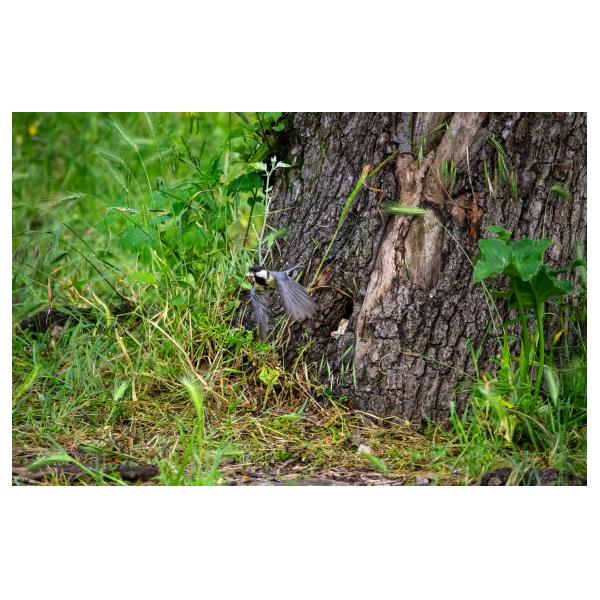 PHOTO84, CLUB, 84 , LUBERON